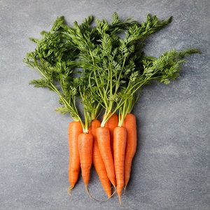Carotte fraîche naturelle de ferme, produit propre et frais, carotte pour une nutrition quotidienne, carotte saine, légume sain - Product Image 1