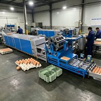 Máquina de Moldeo de Pulpa para Bandejas de Huevos, 1000 Piezas/Hora, Pequeña Capacidad, con Secado Natural