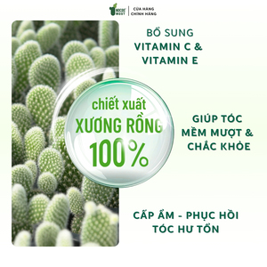 Après-shampoing Nocas aux ingrédients bio, huile de coco, extrait de nopalea, texture crème lissante, utilisation jour et nuit pour tous types de cheveux - Product Image 4