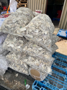 Poudre de coquille d'huître pure, granulométrie 100-200, source de carbonate de calcium, coquilles marines blanches concassées pour le ciment, la brasserie, le filtrage et l'entretien - Product Image 5