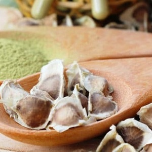 Utilisation agricole des graines de Moringa - Product Image 1