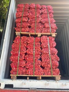 Bûches de bois dur coupées en gros pour foyers extérieurs et poêles à bois – Produit énergétique pour feux de camp - Product Image 3