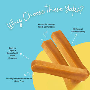 Friandises à mâcher 100 % naturelles au lait de yak de l'Himalaya pour chiens – Soin dentaire, longue durée, riches en protéines, saines, sans céréales - Product Image 5