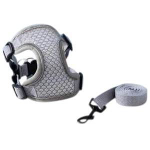 Conjunto de Collar para Perros Pequeños (5 Razas) - Nailon y Poliéster con Estampado Clásico, Moderno y Sencillo, Suave y Cómodo con Lazo - Product Image 1