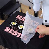 Prenda de Moda Urbana con Diseño de Dibujos Animados, Lavable, Ecológica, de Goma PET, Personalizable, de Primera Calidad, con Impresión por Transferencia de Calor