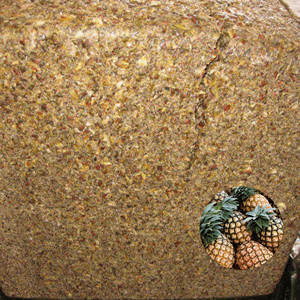 Vente Chaude : Fournisseur Vietnamien, Prix de Gros, Qualité Export, Écorces d'Ananas Ensiliées Emballées en Sac Jumbo - Product Image 1