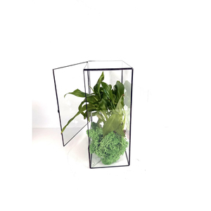 Hot Selling Reasonable Price <b>Clear</b> Glass Modern Luxury Black Terrarium With Brass Border New Arrival Terrarium for Home Decorate - Product Image 2