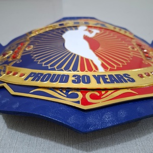 TBA Boxing Jiu-Jitsu Championship <b>Belt</b> Customized Names Logo Blue Gold <b>Red</b> Design 1.5M Length Brass Zinc Steel Material Proud 30 - Product Image 4