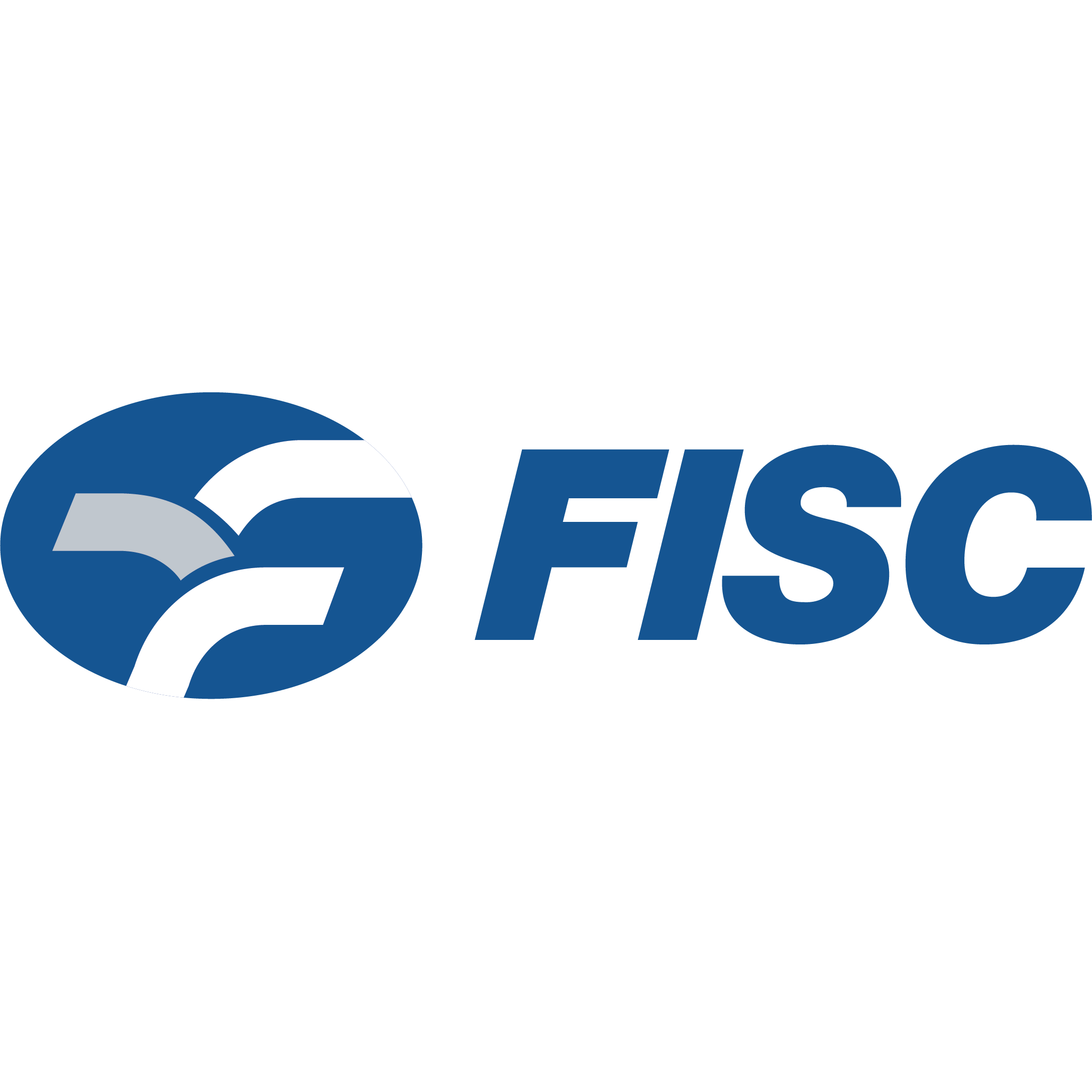 FISC ITALIANA SRL logo