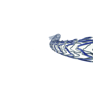 Implant coronaire avancé TER Ultimaster Tansei pour les spécialistes professionnels en cardiologie - Product Image 3