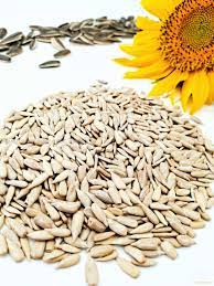 Graines de tournesol brutes de qualité supérieure à vendre - Product Image 2