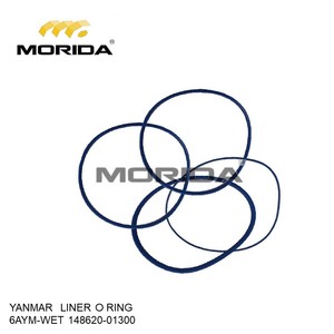 Junta Tórica 6AYM-WET 14862001300 para YANMAR - Product Image 1