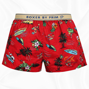 Prix d'usine Personnalisé ODM Caleçons Boxers Homme Taille Moyenne Anti-Bactériens Séchage Rapide Respirants 100% Coton Vente en Gros - Product Image 1