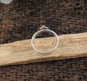 Anillo de Plata de Ley 925 Auténtico con Diseño de Hoja, Inspirado en la Naturaleza, Rama Botánica Clásica, Joyería Estampada para Mujer, Venta al por Mayor para Fiestas - Product Image 1