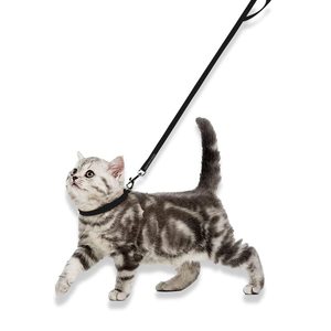 Plain <b>Dog</b> Collar & Leash Set OEM ODM Custom Logo Adjustable Nylon Pet Set Direct Manufacturer - Product Image 2