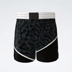 Pantalones Cortos de MMA Sublimados Personalizados, Estilo Moderno 2025, Ligeros, Elásticos en 4 Direcciones, de Secado Rápido, para Entrenamiento de Grappling y BJJ - Product Image 1