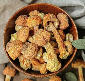 Prix de gros agaricus blazei champignon poudre fournisseur vietnamien bon emballage - Product Image 6