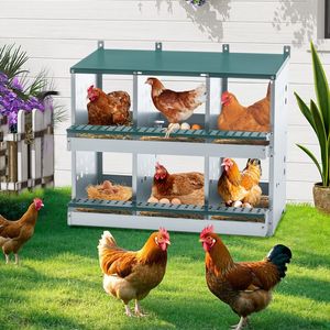 Green <b>Roll</b> Away Chicken Nesting <b>Box</b> with 6 Compartments for Laying Eggs - Product Image 5