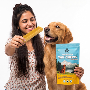 Friandises pour chiens en fromage de yak de l'Himalaya, fabriquées en Inde, biologiques, dures, longue durée, naturelles, écologiques, en gros, OEM - Product Image 6