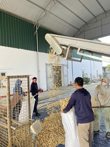 ขิงหั่นยาว / ขิงแห้งแบบเซนเซโร่ อบแห้งด้วยแสงแดดจากเวียดนาม สำหรับผู้ค้าเครื่องเทศ (WA +84 914319488) - Product Image 6