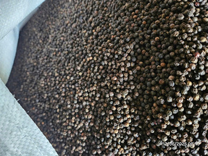 Poivre noir de qualité supérieure, piment de la Jamaïque, origine Vietnam, épice séchée brute AD, 50 kg, certifié HACCP, Phalco JSC - Product Image 3
