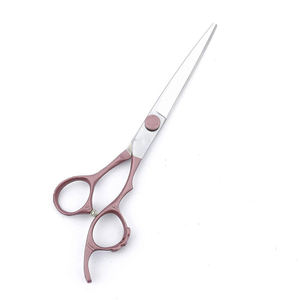 Tijeras de Peluquería Profesionales de 6.5 Pulgadas con Punta Afilada de Acero Inoxidable para Corte de Cabello - Product Image 1