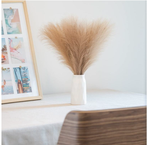 Flor Seca Cósmica de Primera Calidad, 100% Natural, de Larga Duración, Ecológica, Pluma Decorativa para Interiores/Exteriores, Manualidades, Decoración de Acción de Gracias - Product Image 1