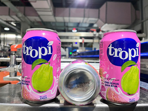 Puree 330ml Can/Bottle Private Label From Vietnam HACCP Certified - Product Image 2