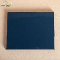 Plateau de service décoratif en bambou laqué fait main, écologique, avec accents dorés, personnalisable, portable, imperméable et durable pour la restauration