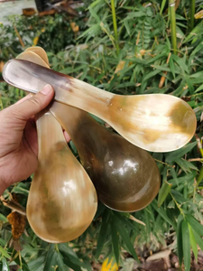 Cuchara de cuerno de vaca con mango pulido a espejo, nuevo diseño, cuchara de cuerno para servir en restaurantes, producto de alta calidad - Product Image 5