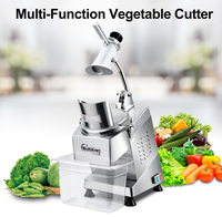 Welldone Multifunctionele Commerciële Restaurant Groente Fruit Verwerkingsmachine 5 Messen 520W Motor 220V/110V