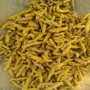 Extracto de Cúrcuma Orgánica en Polvo de Alta Calidad, Curcuma Longa 100%, 95% Curcumina en Polvo, Compre Hoy, Entrega Rápida, Calidad Premium - Product Image 1
