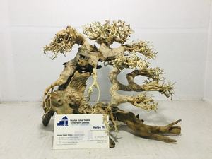 Madera flotante para acuarios, bonsáis y reptiles, ramas de madera para paisajismo de acuarios, decoración para peceras de Vietnam para mayoristas - Product Image 3