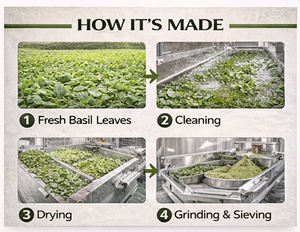 WARRLY Polvo Natural de Tulsi (Basil de la India) Superalimento Herbal Extracto 99% Puro Grado Alimenticio en Envase de Plástico (CAN) Extraído con Solvente a Granel - Product Image 2