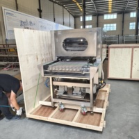Machine à enrober les noix de cajou et les amandes avec un revêtement au chocolat, à nettoyage facile et extractible, pour les usines de produits à base de noix