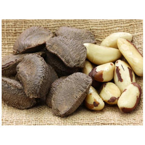 Noix du Brésil naturelles décortiquées, mélange de tailles moyennes, grandes et extra grandes, expédition depuis la forêt - Product Image 3