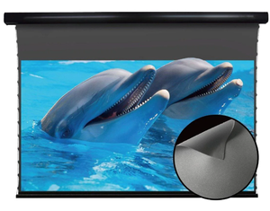 Điện tab-căng thẳng Màn hình máy chiếu 16:10 với vật liệu sợi thủy tinh, động cơ kéo xuống alr màn hình chiếu - Product Image 2