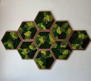 Arte de Pared Hexagonal de Madera Hecho a Mano con Musgo, Marco Marrón Oscuro, Follaje Verde, Decoración Moderna para el Hogar, Diseño Geométrico - Product Image 1