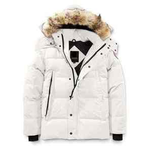 Veste matelassée de haute qualité pour homme, vêtement décontracté pour homme, manteau d'hiver, col montant, veste matelassée épaisse et isolante, style tendance - Product Image 6