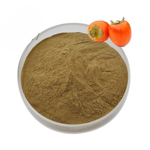 Extrait de kaki pur et naturel OEM 100 %, poudre de fruit premium 10:1, issue de kakis séchés, pour smoothies, jus et boissons - Product Image 4