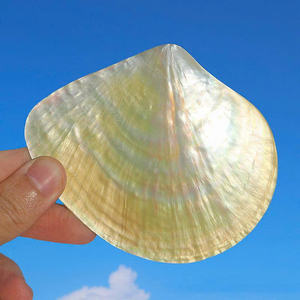 Pinano Inlay Folk Art Mother of Pearl Craft Shape Cut Polished Abalone Shell Sheet Fragment Vietnam Art Accessory Factory Price - Product Image 2