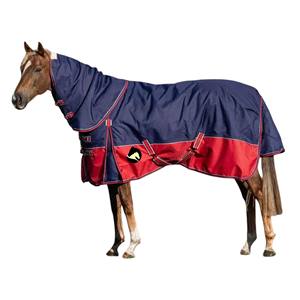 Couverture d'hiver imperméable 600D pour cheval, 300 g/m², chaude, avec col haut, grande rabat de queue, quincaillerie en acier inoxydable et lavable en machine - Product Image 1