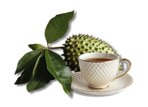 Hojas de guanábana secas de Vietnam, calidad de exportación, hojas de graviola naturales, aptas para uso vegano, materiales de hoja seleccionados y limpios. - Product Image 2