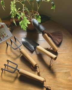 Juego de herramientas de jardinería para interiores con pala y cultivador de mango de madera para el plantado y el cuidado de las plantas - Product Image 6