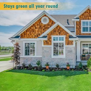 Erba Sintetica Artificiale per Interni/Esterni 3.3FTx32.3FT 0.8" per Giardino e Cortile - Product Image 2