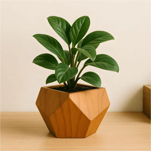 Jardinière ronde classique en bois avec support, pot à plantes en bois massif pour intérieur et extérieur, décoration artisanale pour la maison et le jardin - Product Image 5