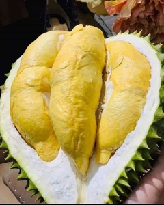 Durian Congelé Premium Monthong Ri6 Pulpe Dorée IQF en Morceaux Exportation en Gros du Vietnam - Mme Tarina - Product Image 6
