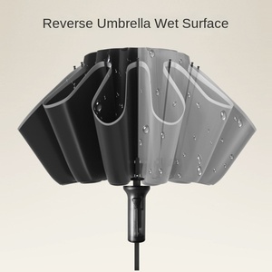 10 Bone <b>Automatic</b> Black Glue Anti-Rain Dual-Purpose Folding Sun <b>Umbrella</b> Wholesale Advertising Manufacturers Spot Wholesale - Product Image 3