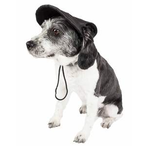 Chapeau de protection UV réglable et tendance pour chien, vêtements pour animaux de compagnie - Product Image 3