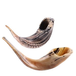 Kosher Natural Color Natural Forma Natural RAM HORN Shofar NUEVO. Increíble sonido MEJOR precio Bolsa de burbujas - Product Image 1
